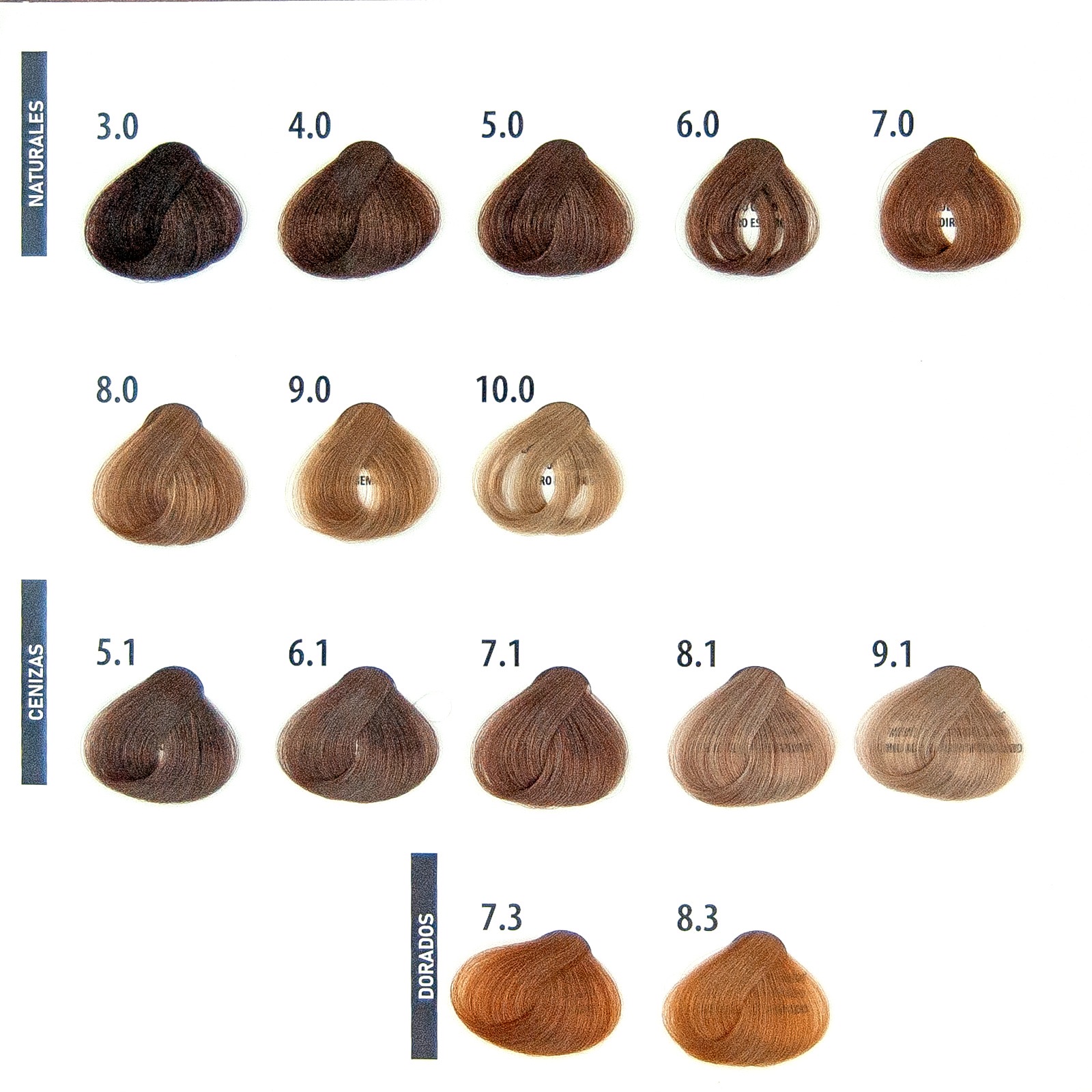 Tinte Express 10 minutos - Imagen 3